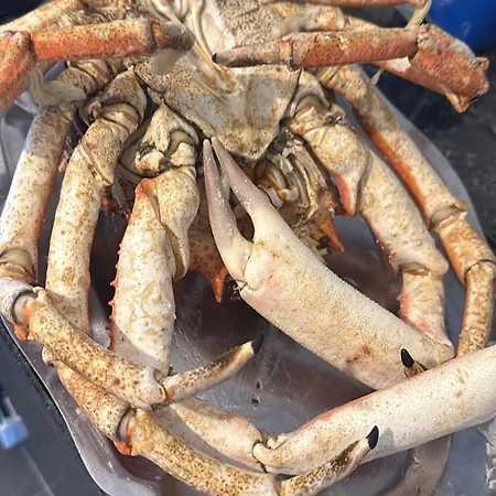 Portosin Pueblo Piscina Playa A Coruna